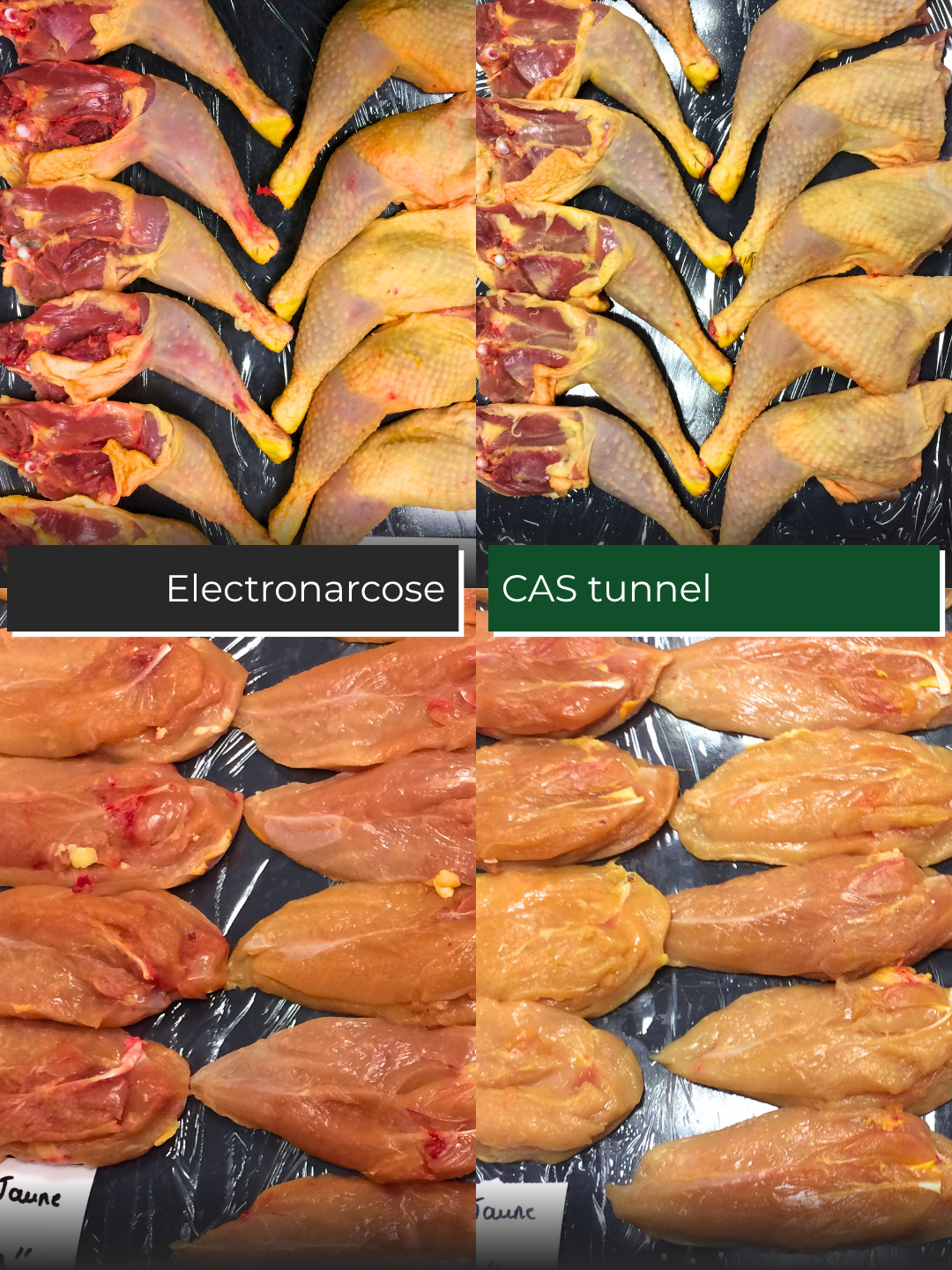 Comparatif electronarcose gaz